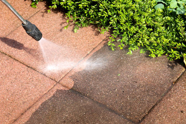 Best Commercial Building Pressure Washing  in Savannah, TX